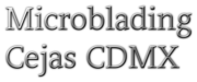 Microblading Cejas CDMX
